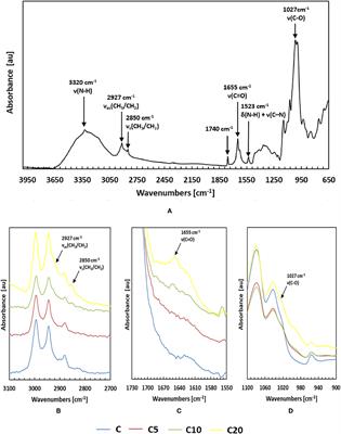 Sustainable Active PET Films by Functionalization With Antimicrobial Bio-Coatings